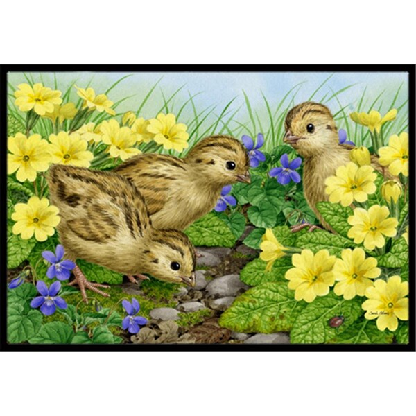 Carolines Treasures Pheasant Chicks Indoor or Outdoor Mat- 18 x 27 ASA2177MAT - main